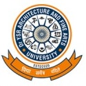 Dr YSR Architecture and Fine Arts University, Kadapa