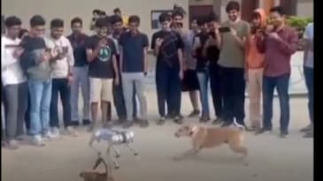 Robot dog interacts with strays at IIT Kanpur's Techkriti. Watch here